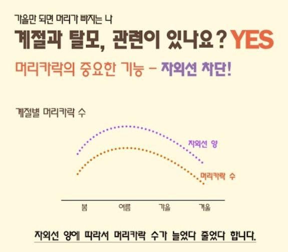 21730958513 - 헤어온의원