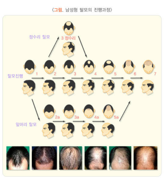 31727313935 - 헤어온의원