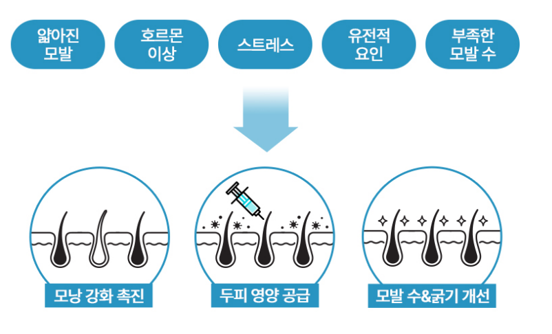 41724290137 - 헤어온의원