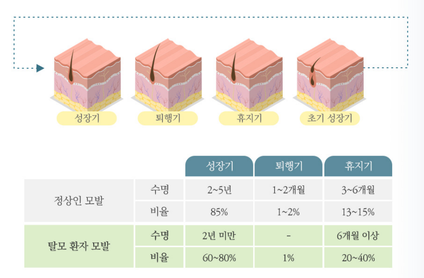 image31719213668 - 헤어온의원